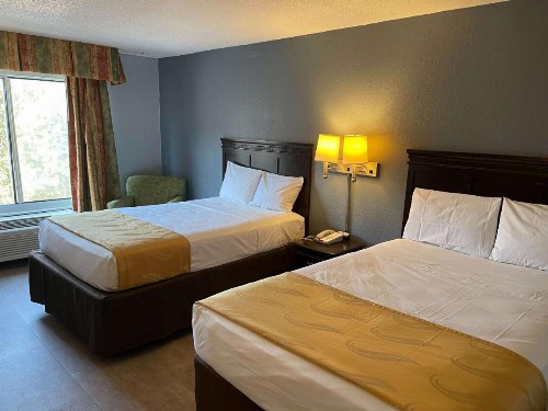 Quality Inn & Suites Medical Park - image 15