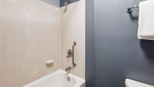 Quality Inn & Suites Medical Park - image 23