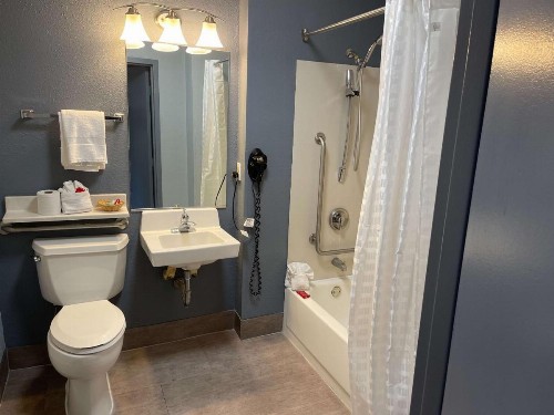 Quality Inn & Suites Medical Park - image 24