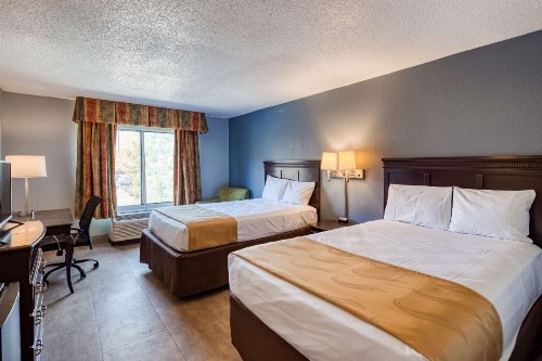 Quality Inn & Suites Medical Park - image 9