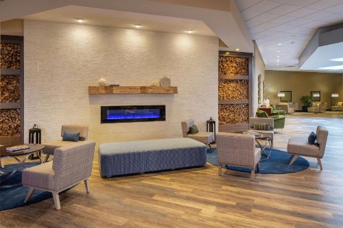 Hilton Durham near Duke University - image 6