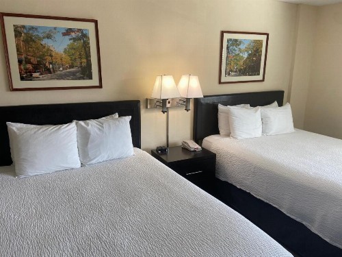 University Inn Duke - image 6