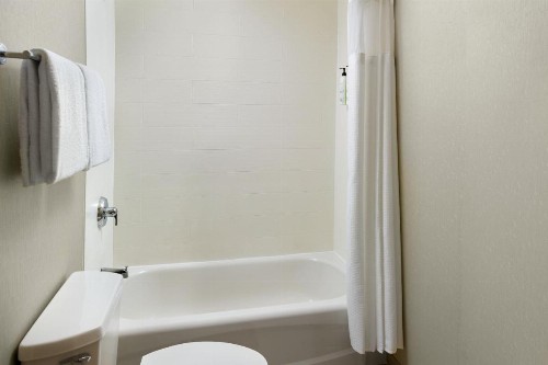 SpringHill Suites Raleigh-Durham Airport/Research Triangle Park - image 8