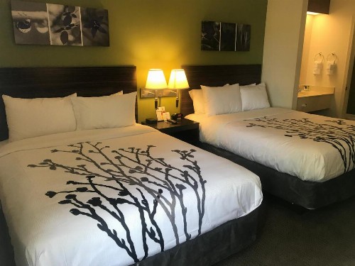 Sleep Inn Raleigh Durham Airport - image 5
