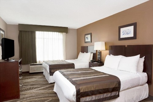 Wingate by Wyndham Raleigh Durham / Airport - image 7