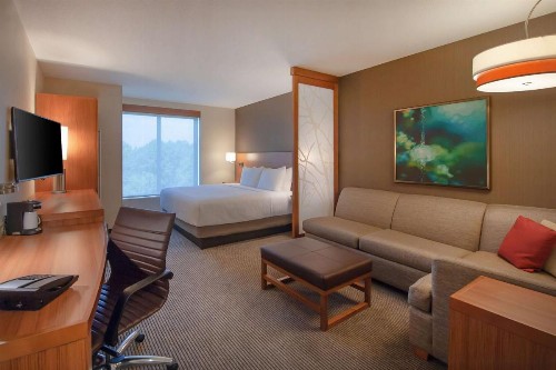 Hyatt Place Durham Southpoint - image 4