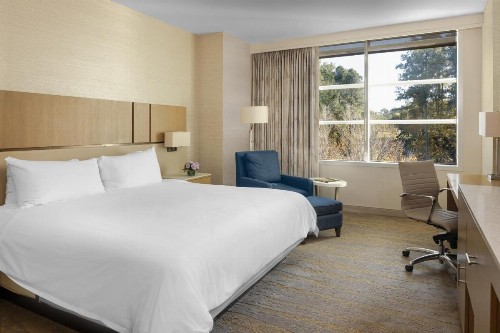 JB Duke Hotel - image 42