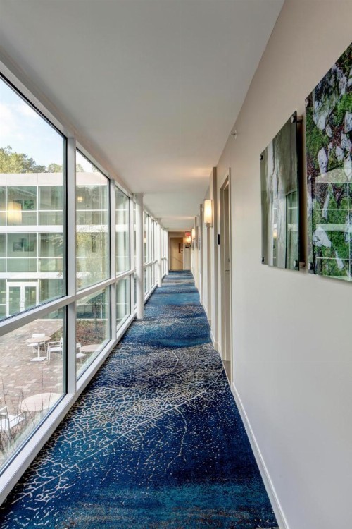 JB Duke Hotel - image 43