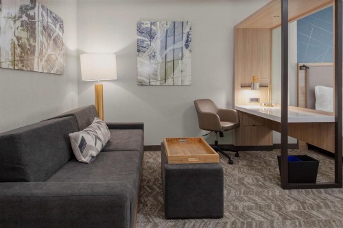 SpringHill Suites By Marriott Durham City View - image 10