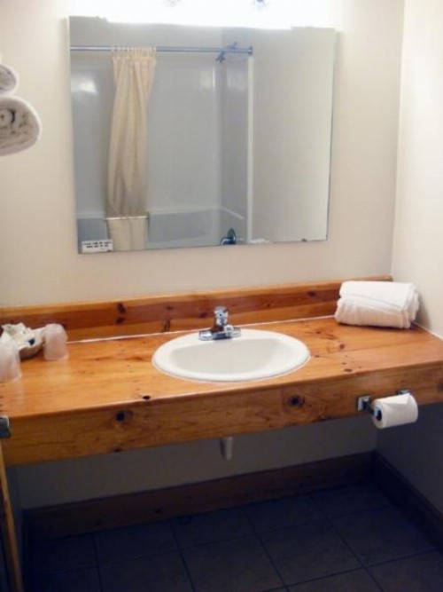 Hiawatha Lodge Inn - image 12