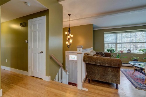 Cranberry Hill - image 11