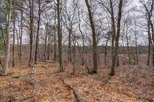 Cranberry Hill - image 9