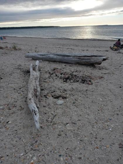 The Hampton Sack - image 14