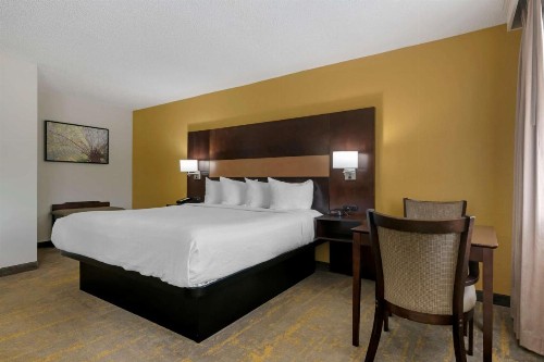 Best Western Inn Of Palatka - image 29