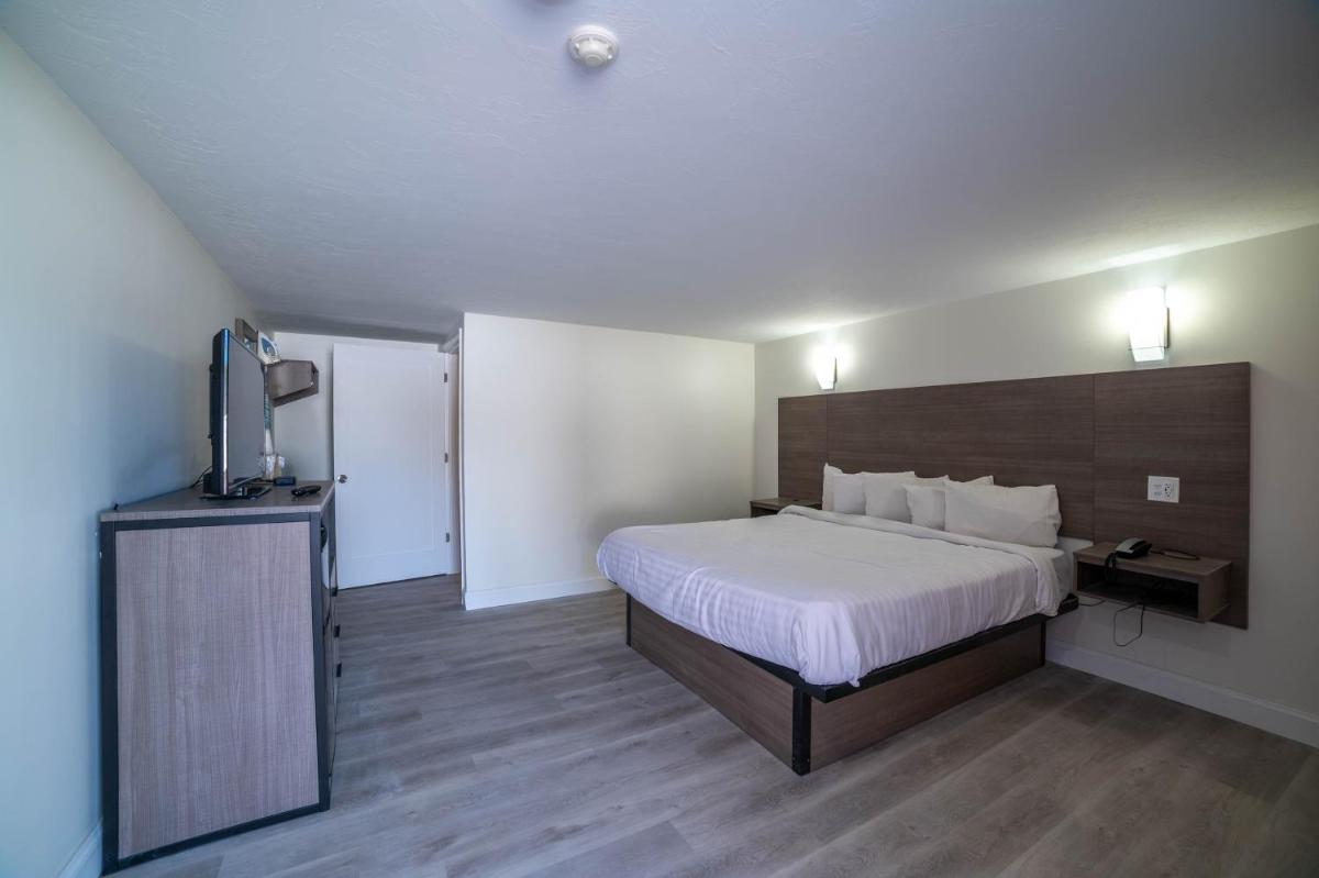 Viking Shores Motor Inn - main image