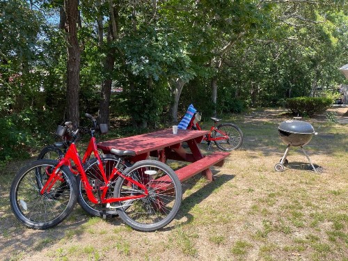 Viking Shores Motor Inn - image 27