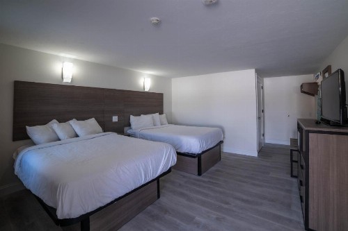 Viking Shores Motor Inn - image 8