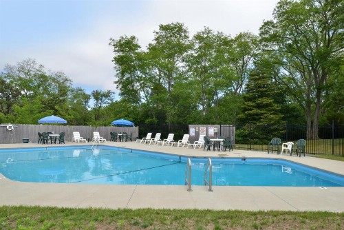 Blue Dolphin Inn - image 4