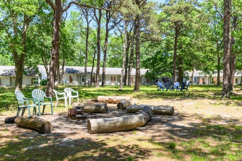 Blue Dolphin Inn - image 5