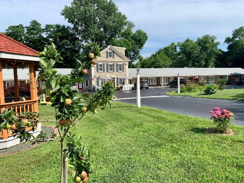 Eagle Wing Inn - Cape Cod - image 30