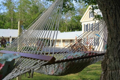 Eagle Wing Inn - Cape Cod - image 50
