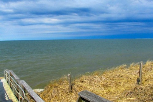 Hideaway Near The Bay - image 12