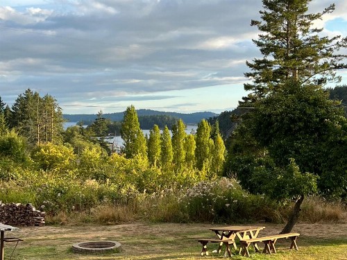 Deer Harbor Inn - image 21