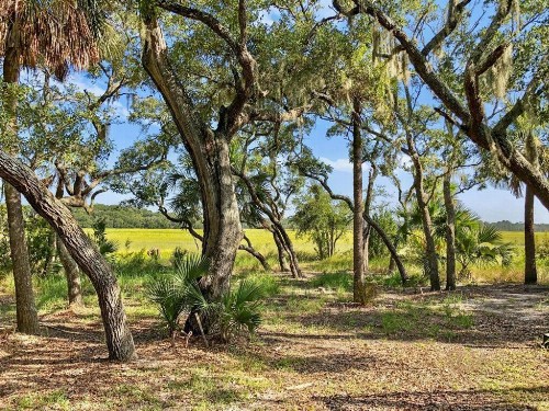 Marsh Cove - image 34