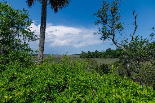 Marsh Cove - image 38