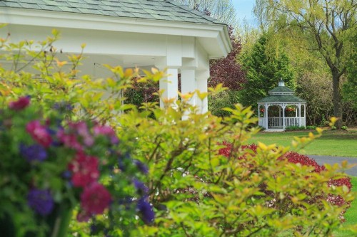 Ashbrooke Hotel - image 5
