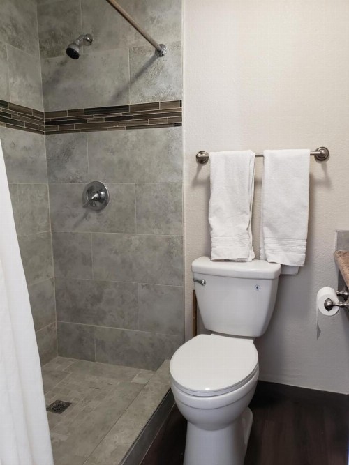 Classic Inn and Suites - image 4