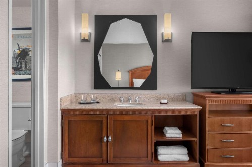 Embassy Suites by Hilton El Paso - image 28
