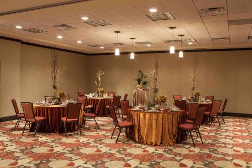 Hilton Garden Inn El Paso University - image 32