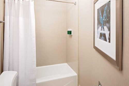 SpringHill Suites by Marriott El Paso - image 14
