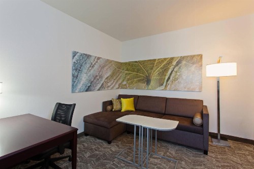 SpringHill Suites by Marriott El Paso - image 8