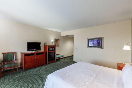 Hampton Inn & Suites El Paso West - image 49
