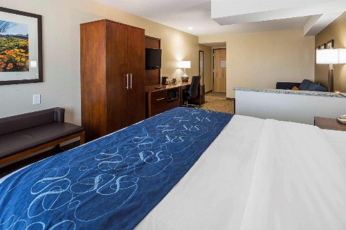 Comfort Suites El Paso Airport - image 10