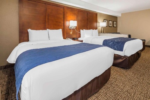 Comfort Suites El Paso Airport - image 20