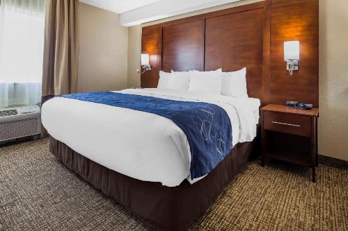 Comfort Suites El Paso Airport - image 3
