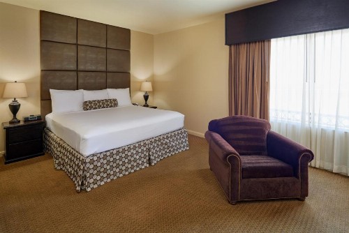 Radisson Hotel El Paso Airport - image 28