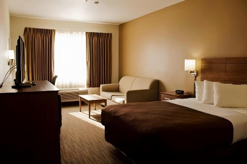 Quality Suites University - image 15