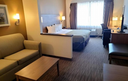 Quality Suites University - image 22