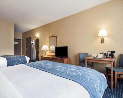 Quality Suites University - image 23