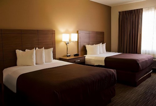 Quality Suites University - image 25