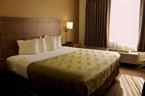 Quality Suites University - image 26