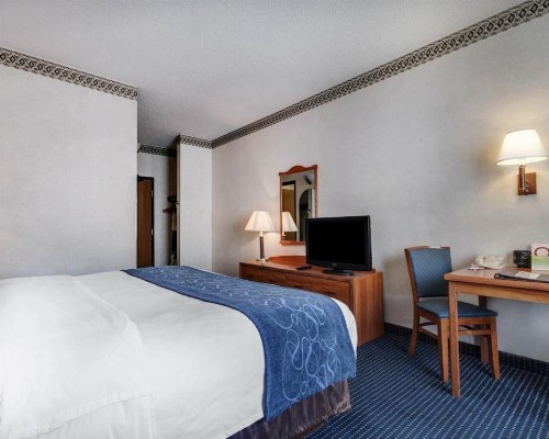 Quality Suites University - image 27