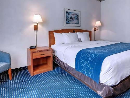 Quality Suites University - image 32