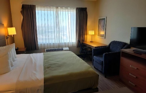 Quality Suites University - image 36