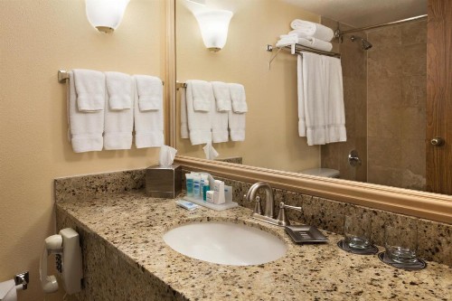 Wyndham El Paso Airport and Water Park - image 33