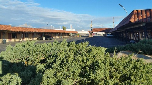 Coral Motel - image 6